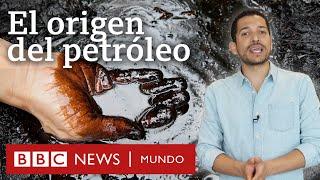 Cuál es el origen del petróleo (y no, no viene de los dinosaurios) | BBC Mundo