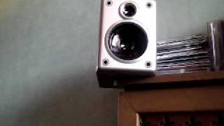 Damaged voice coil in Right speaker