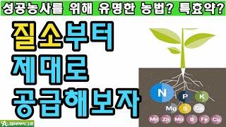 특수농법? 특효약보다 질소를 제대로 공급하는게 우선이다.