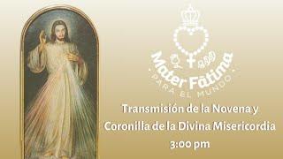 Novena y Coronilla de la Divina Misericordia, 9 de noviembre 2024