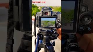 DSLR photography || canon cameras || bird's photography #shorts #ytshorts