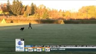 Marion woman wins dog obedience championship