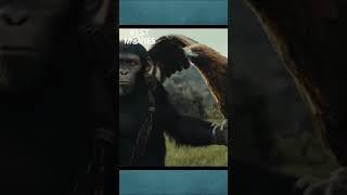 KINGDOM OF THE PLANET OF THE APES  #trailer  #2023 #video #viral  #trending #funny  #movie  #reels