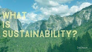 Sustainability 101: What is Sustainability?