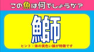 【魚の漢字読み方クイズ全15問】簡単編！高齢者にオススメの問題を紹介【面白い&脳トレ】