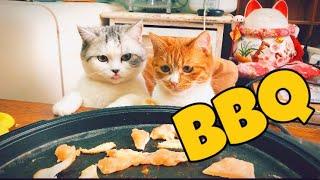 What do cats eat on Christmas? BBQ！