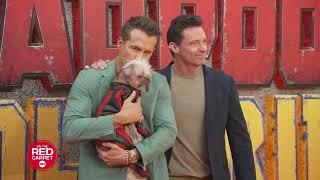 The real star on the "Deadpool & Wolverine" press tour was “Peggy the dog” who plays “Dogpool.”