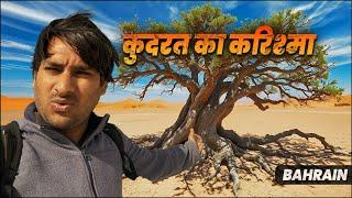 Bahrain में कुदरत का करिश्मा देख लिया! अरे ग़ज़ब! 8वां अजूबा! EP3 @ArbaazVlogs#treeoflife