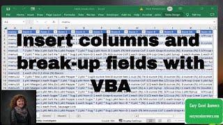 Insert columns and break up fields with VBA in Excel