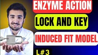 Lock and Key Model Induced Fit Model| How Enzyme works|#class11