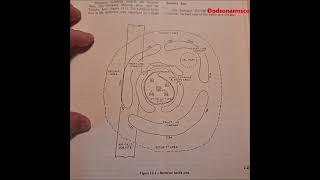 SHTF Defensive Perimeter. Using the Seabee Combat Handbook for WW3, Nuclear War, & Economic Collapse