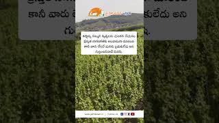 JHK Farmer Quote | Motivational quotes Telugu II Inspirational Quotes II Telugu Quotes  @JaiHoKisan