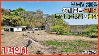 전주시 20분 공기, 경치 좋은 숲세권 농막 + 주말농장텃밭 토지 매매 전라북도 완주군[백제부동산 전주점 전북 완주]