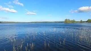 [#sweden] A lake, somewhere in Sweden (Oskarshamn kommun) on a sunny day (2022)