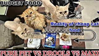 Pure pet vs drools vs maxi cat food review and comparison || reality of budget cat food