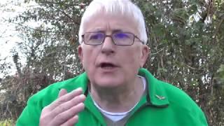 Novel Rune Magic by Michael Conneely and online Runes Course