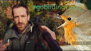 Spring Bird Sounds | #gobirdingvlog​ 7 | Birding Vlog