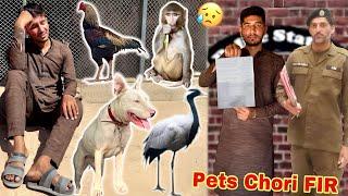 All pets were stolen  Police FIR Katva Di 