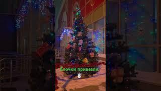 #video #новыйгод #нск54 #christmas #ёлочка #зима #тренды #trending