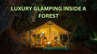 Delhi to Panna Tiger Reserve via Bundelkhand Expressway | Luxury Forest Glamping | motoringwithkkm