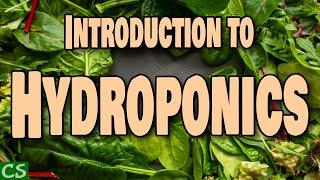 Introduction to Hydroponics (how we grow more food in 2020) Indoor Hydroponic Gardening -Aerogarden