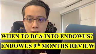 Endowus 9 Months Performance Review | Endowus Satellite Portfolio | When to DCA into Endowus?