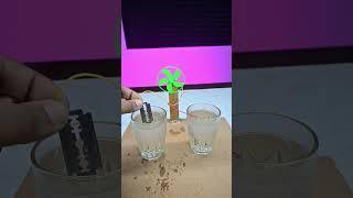 Free Energy make blad | #shorts #fan #dcmotor #tech #youtubeshorts