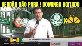 DOMINGÃO AGITADO NO PALMEIRAS! PUNIÇÃO DOLOROSA, REFORMULAÇÃO  TOTAL NO ELENCO, ÚLTIMAS NOTÍCIAS..