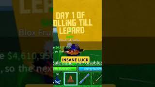 Day 1 Of Rolling Till Leopard Fruit | Insane Luck