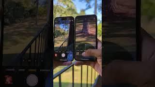 iPhone 14 PRO Max VS IPhone 11 Pro - Design & Camera Zoom Test