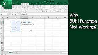 Excel SUM Function Not Working?