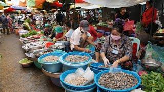 Morning Market Scene @Phsa Chhbar Ampov - Walk Around Chhbar Ampov Food Market on Tuesday