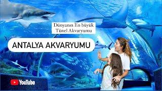 Antalya Akvaryum . Dünyanın en büyük tünel akvaryumu . Antalya Aquarium 4k