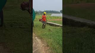 Brush Cutter: The Essential Tool for Weed Control on Your Farm 