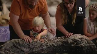 Royal BC Museum: extended trailer