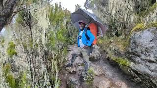 Respect to 20 years of experience | Shira Camp | Mount Kilimanjaro | The Roof of Africa | Day 2