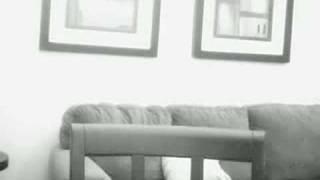 DANIEL OTT GHOST