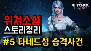 위쳐소설 스토리 정리 #5 타네드섬 습격사건