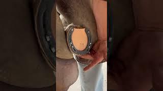 Nailing on a horseshoe with pads #farrier #satisfyingasmr #oddlysatisfying