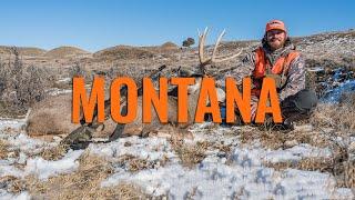 WHAT YOU NEED TO KNOW - Montana Application Strategy