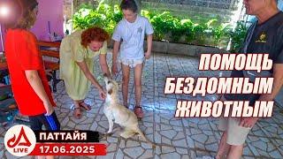 МОТО СТРИМ после работы. Собачья благотворительность. Море в Бангсаре  Thailand LIVE