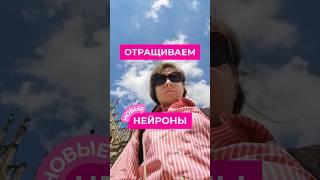 Простой сложный способ помочь своему мозгу