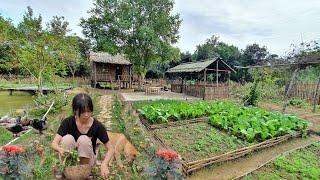 Full Video: 100 days of taking over Trai's garden, renovating the garden, raising livestock.