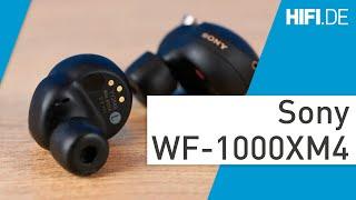 Sony WF-1000XM4: Kleiner, runder, leichter