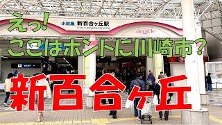 【新百合ヶ丘】川崎市とは思えない閑静な街の魅力