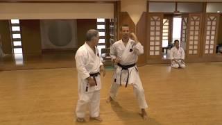 Kiai-shouts by Morio Higaonna, Japanese karate-master