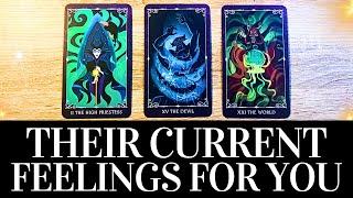 PICK A CARD Their CURRENT FEELINGS For YOU!  They want you to know THIS!  Love Tarot Reading