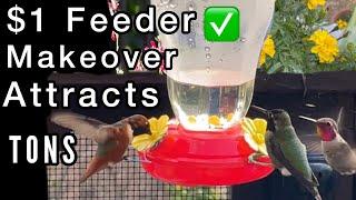 $1 Hummingbird Feeder *HACK* brings Tons of Hummingbirds to Dollar Tree Feeder | DIY Homemade Nectar