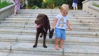 Baby Teaches His Dog to Walk Stairs at the Park