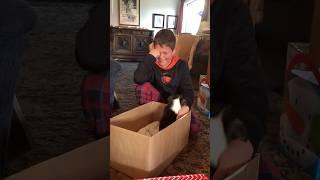 Christmas surprises: watch kids’ emotional reactions to pet gifts | Humankind #shorts #pets